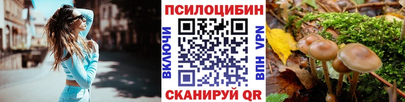 наркошоп  Ряжск  Галлюциногенные грибы прущие грибы 